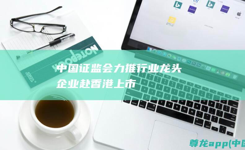 中国证监会力推行业龙头企业赴香港上市