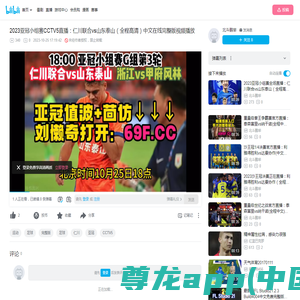 2023亚冠小组赛CCTV5直播：仁川联合vs山东泰山（全程高清）中文在线完整版视频播放_哔哩哔哩_bilibili